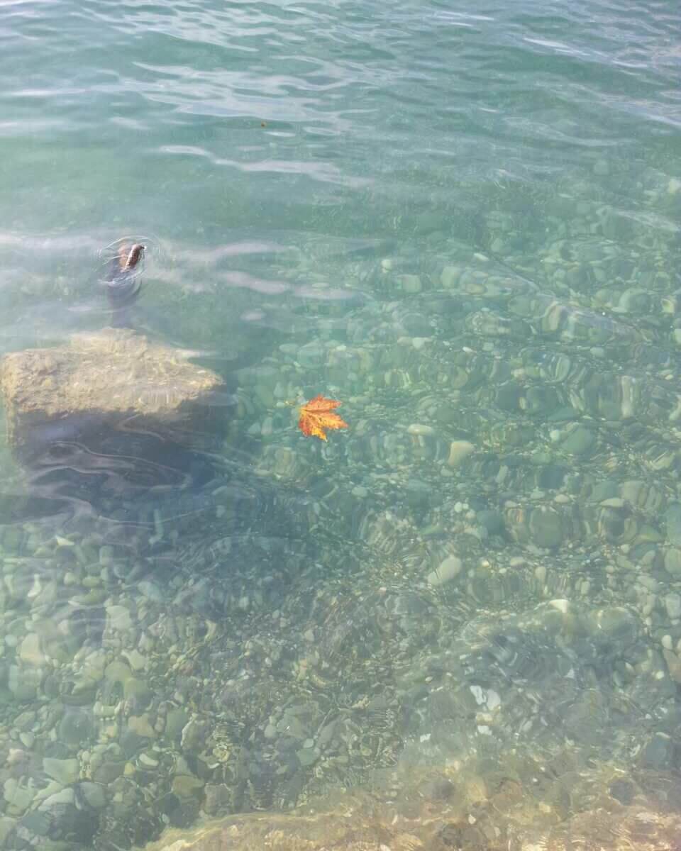 Гагра море рядом с домом